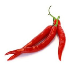 Red chilli pepper  